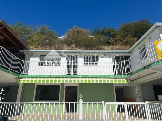 Location Immobilier Professionnel Local commercial Basse-Terre (97100)