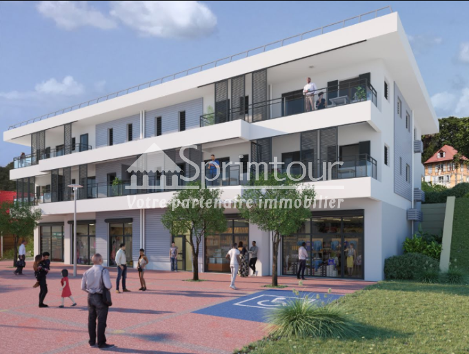 Location Immobilier Professionnel Local commercial Saint-Claude (97120)