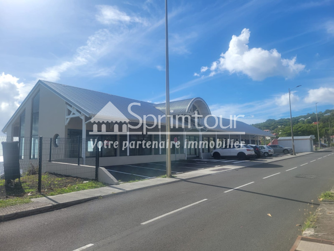 Vente Immobilier Professionnel Local commercial Vieux-Fort (97141)
