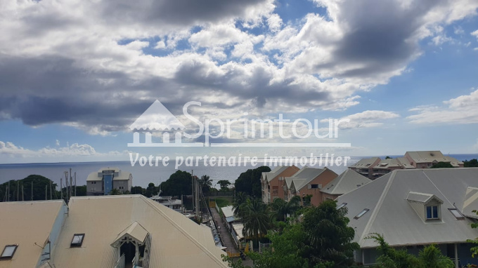 Offres de location Appartement Gourbeyre (97113)