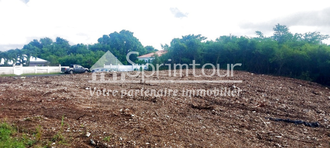 Offres de vente Terrain Moule (97160)