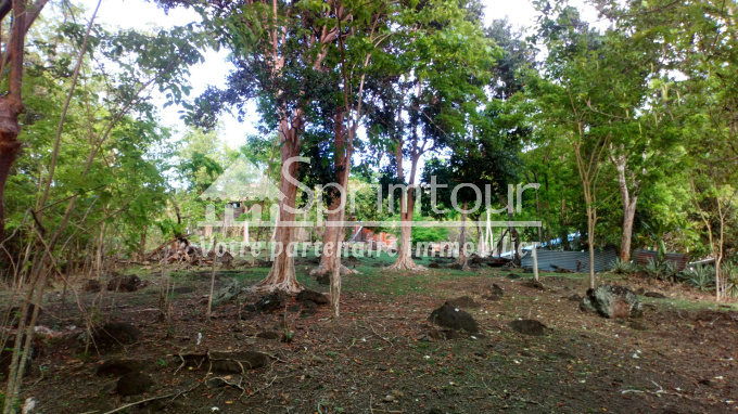 Offres de vente Terrain Bouillante (97125)