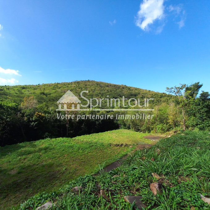 Offres de vente Terrain Bouillante (97125)